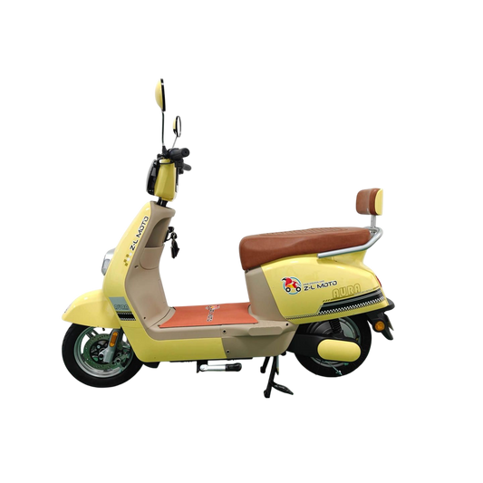 Bicicletas Eléctrica AURA