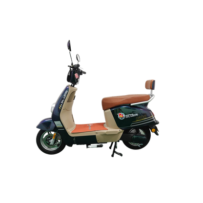 Bicicletas Eléctrica AURA