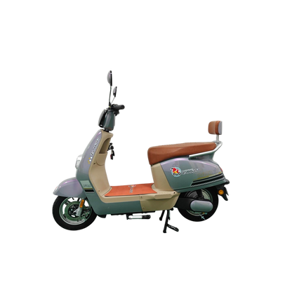 Bicicletas Eléctrica AURA