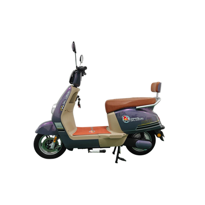 Bicicletas Eléctrica AURA