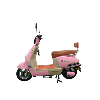 Bicicletas Eléctrica AURA