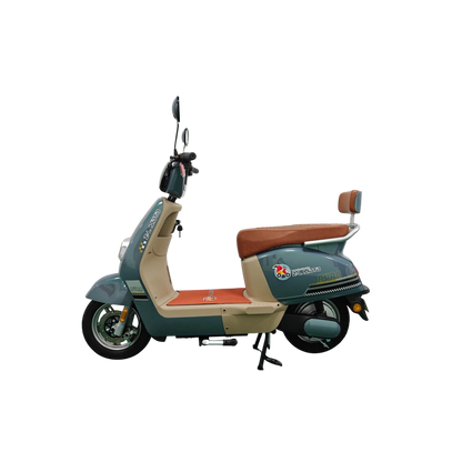 Bicicletas Eléctrica AURA