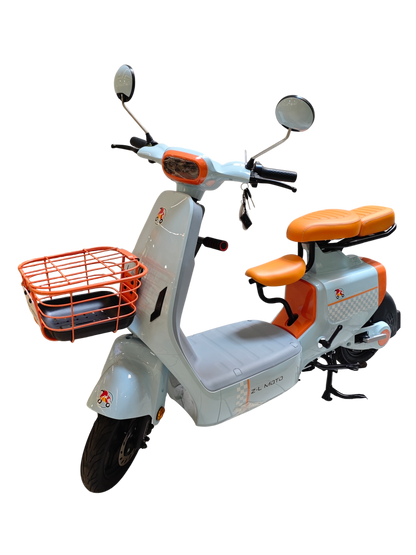 Bicicleta Eléctrica FIESTA