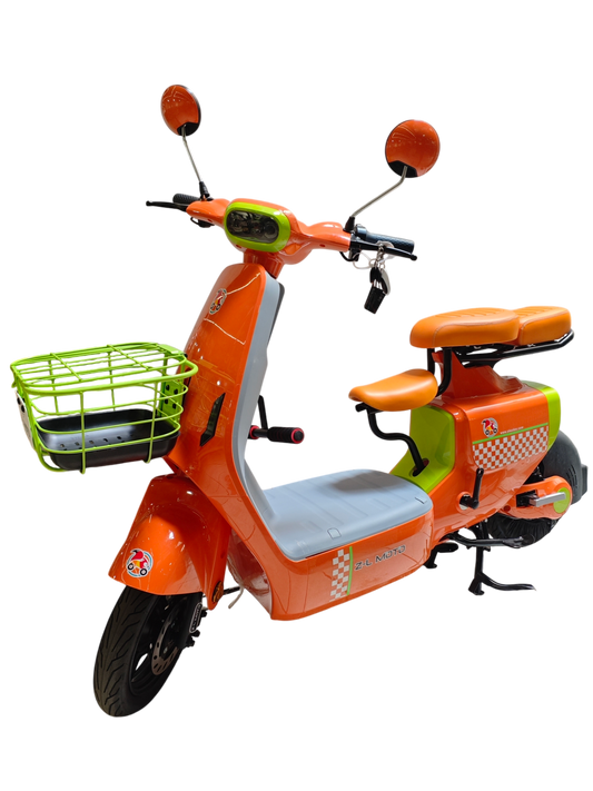 Bicicleta Eléctrica FIESTA