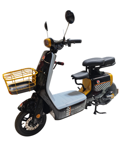 Bicicleta Eléctrica FIESTA