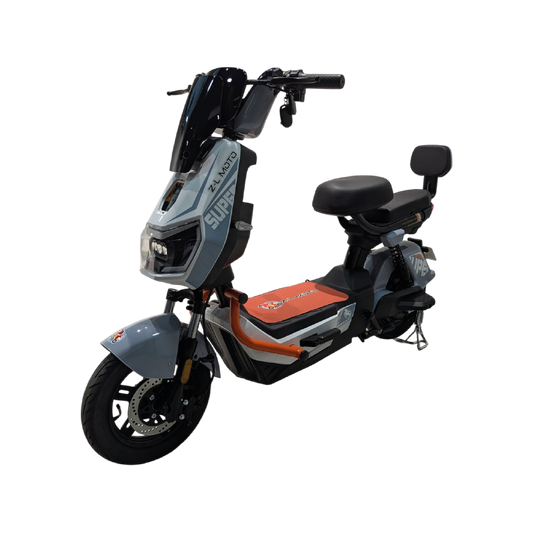 Bicicleta Eléctrica: Gabriel Pro