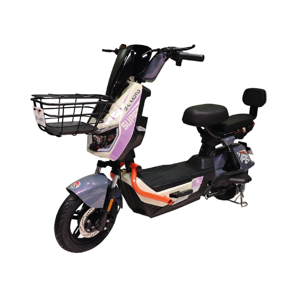 Bicicleta Eléctrica: Gabriel Pro