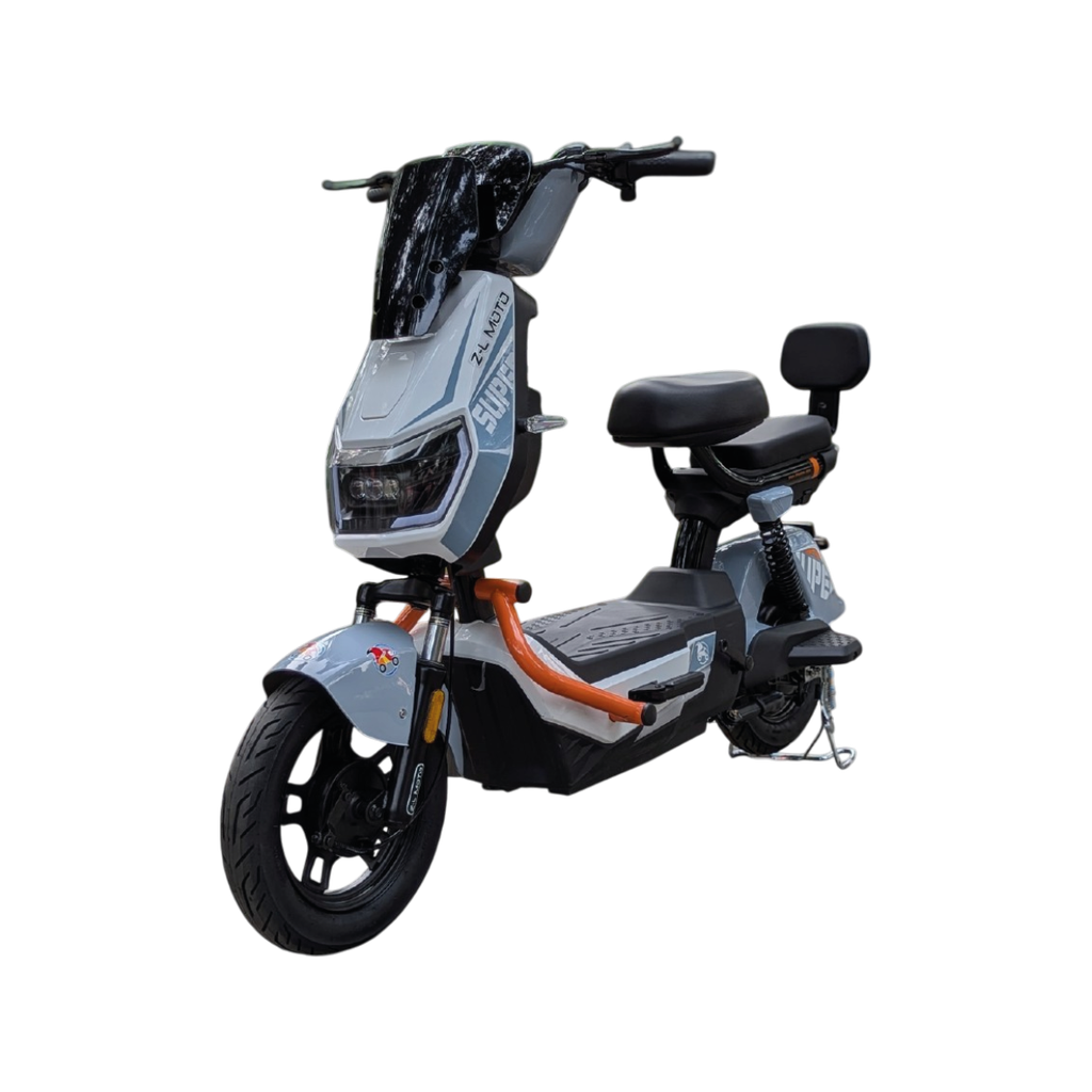 Bicicleta Eléctrica: Gabriel