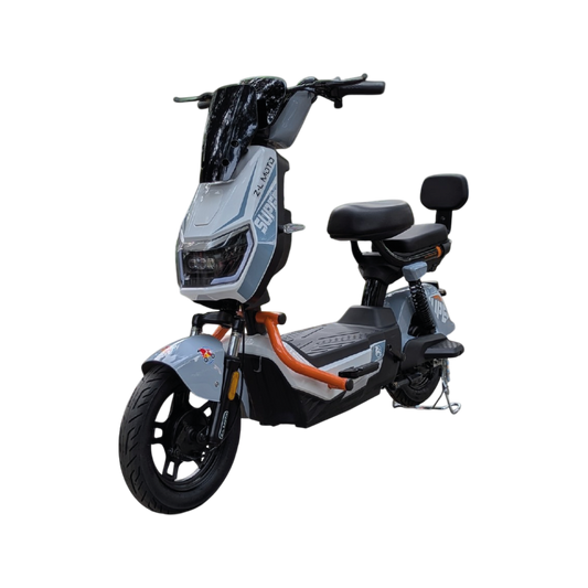 Bicicleta Eléctrica: Gabriel