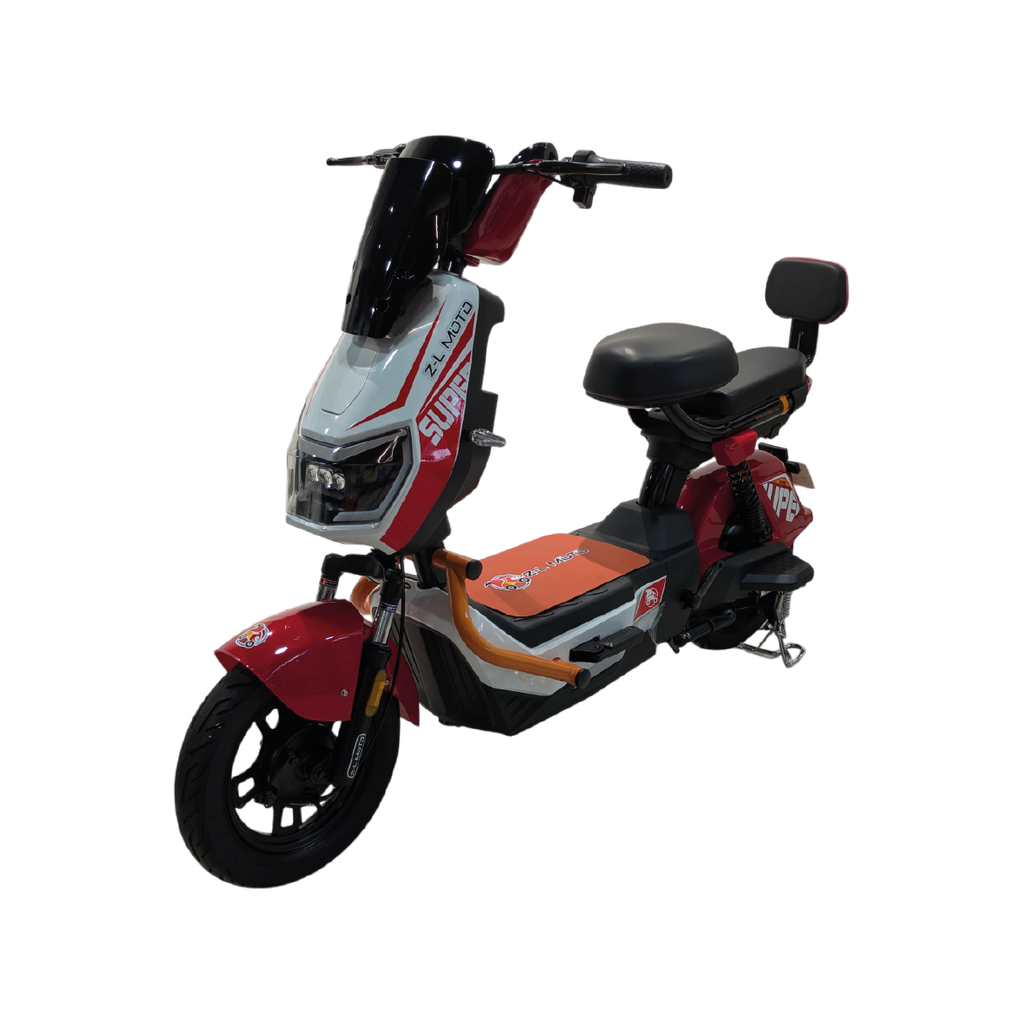 Bicicleta Eléctrica: Gabriel