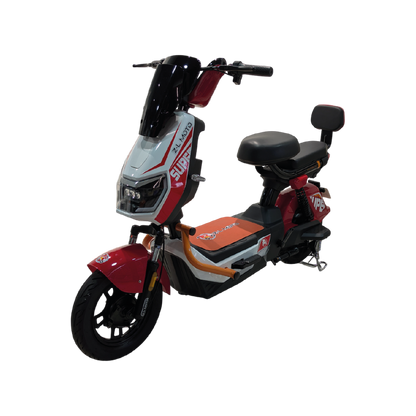 Bicicleta Eléctrica: Gabriel