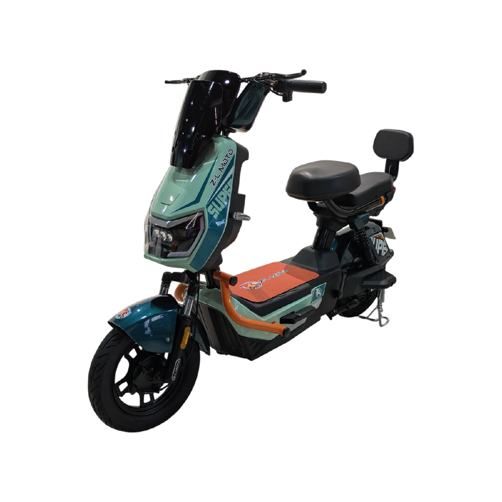 Bicicleta Eléctrica: Gabriel