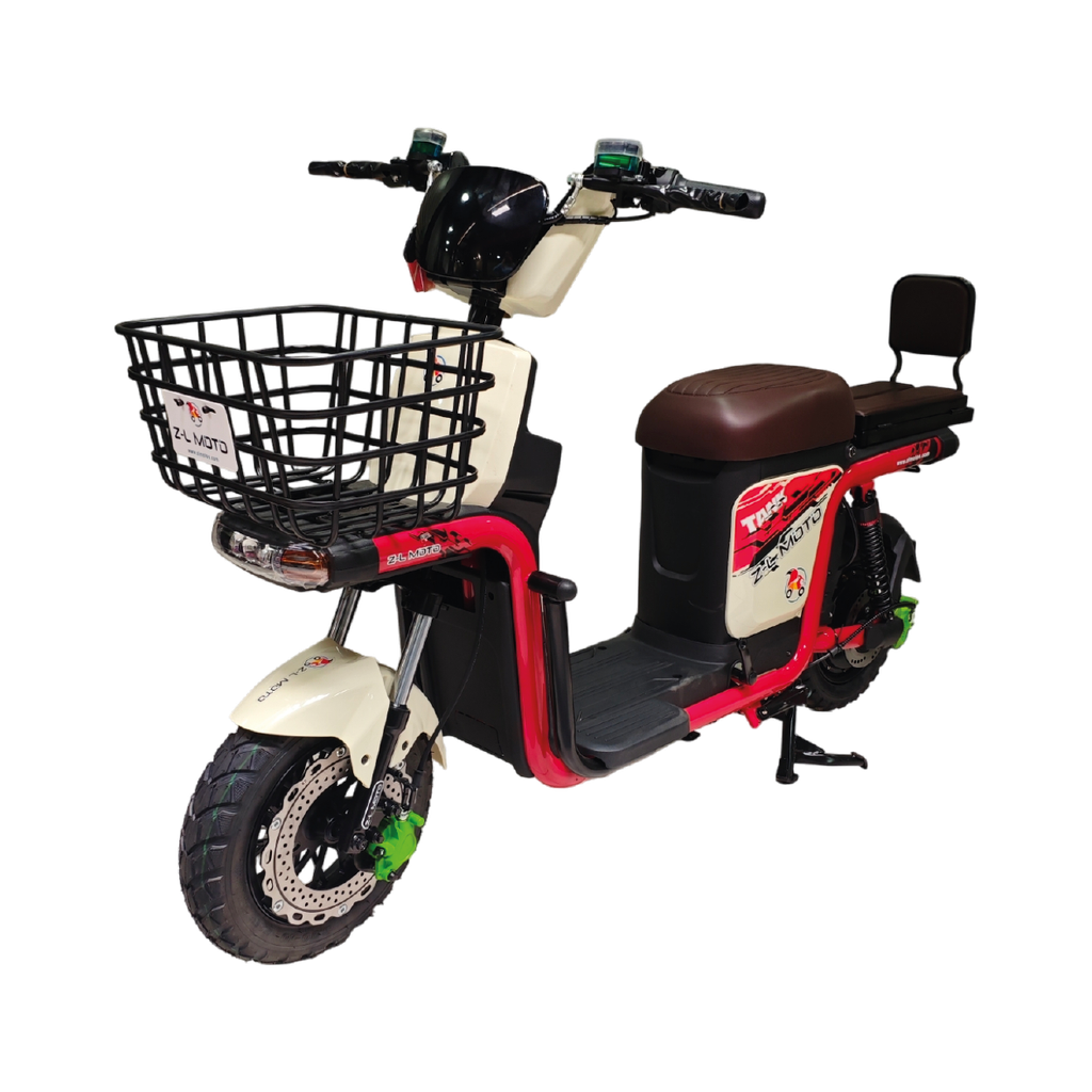 Bicicleta Eléctrica: Leonardo Pro