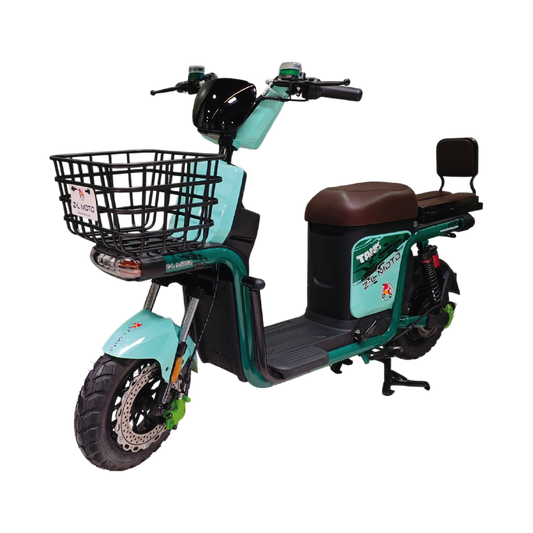 Bicicleta Eléctrica: Leonardo Pro