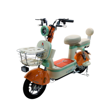 Bicicleta Eléctrica MARIA