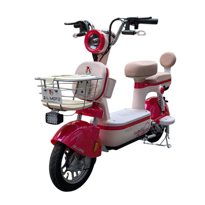 Bicicleta Eléctrica MARIA