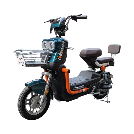 Bicicleta Eléctrica: Mateo