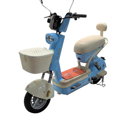 Bicicleta Eléctrica: Regina