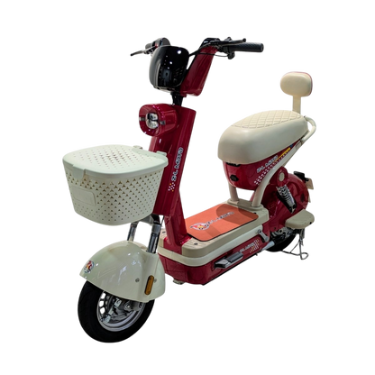 Bicicleta Eléctrica: Regina