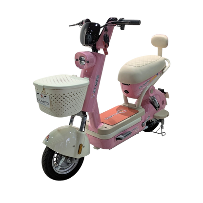 Bicicleta Eléctrica: Regina