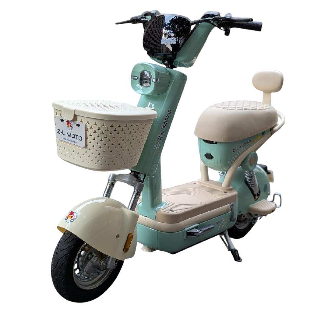 Bicicleta Eléctrica: Regina