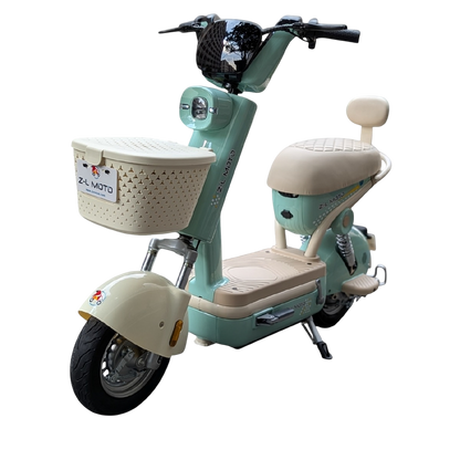 Bicicleta Eléctrica: Regina