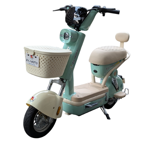 Bicicleta Eléctrica: Regina