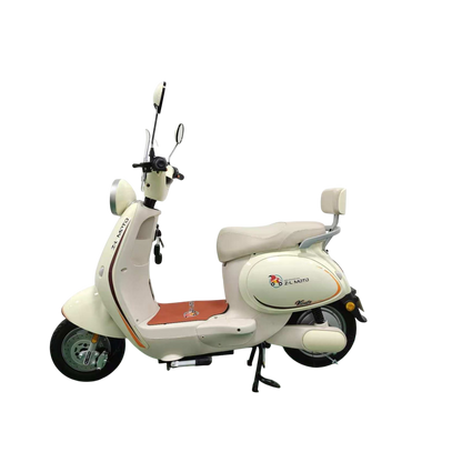 VIENTO Electric Bicycle