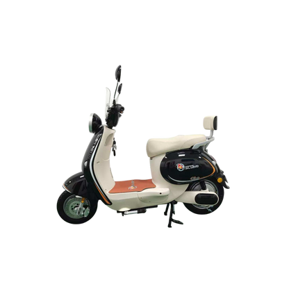 VIENTO Electric Bicycle
