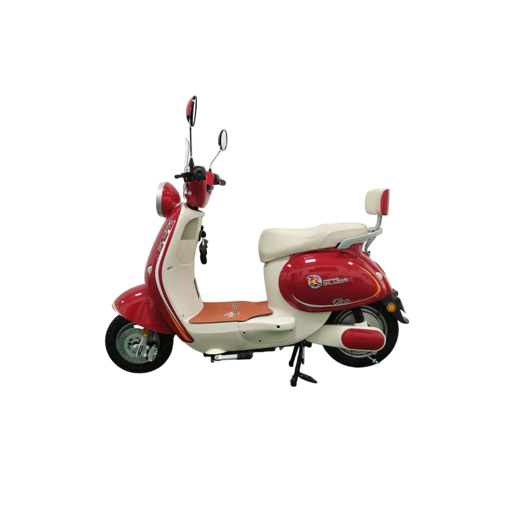 VIENTO Electric Bicycle