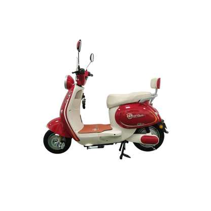 VIENTO Electric Bicycle