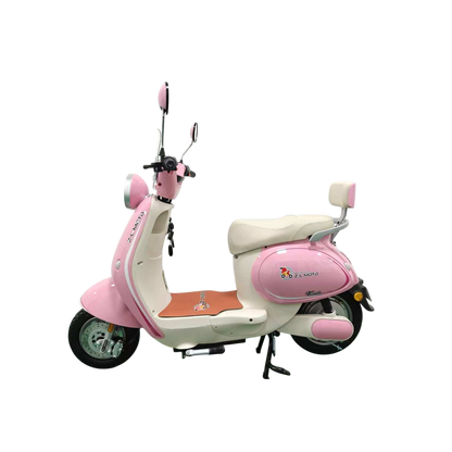VIENTO Electric Bicycle