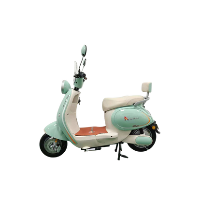 VIENTO Electric Bicycle